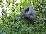 2002_06_Summer_Vacation_550_DSC00894.JPG