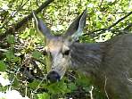2002_06_Summer_Vacation_551_DSC00895.JPG