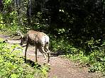 2002_06_Summer_Vacation_554_DSC00221.JPG