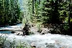 2002_06_Summer_Vacation_558_WF30C0216281027_08_227.jpg