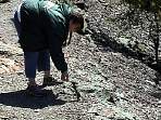 2002_06_Summer_Vacation_584_DSC00912.JPG