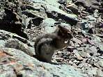 2002_06_Summer_Vacation_589_DSC00914.JPG