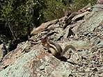 2002_06_Summer_Vacation_594_DSC00924.JPG