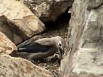 2002_06_Summer_Vacation_898_DSC01134.JPG