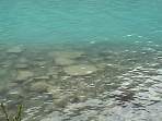 2002_06_Summer_Vacation_916_DSC01148.JPG