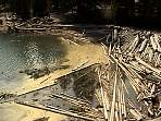 2002_06_Summer_Vacation_976_DSC01183.JPG