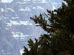 2002_06_Summer_Vacation_984_DSC01195.JPG