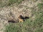 2002_06_Summer_Vacation_991_DSC01200.JPG
