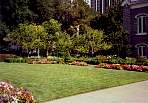 20020712mc088n.jpg