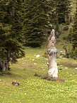 DSC03115.JPG