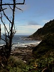 DSC03653.JPG