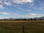 DSC03786.JPG