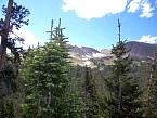 100_0170.JPG