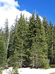100_0173.JPG