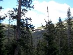 100_0175.JPG