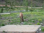 100_0198.JPG