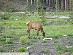 100_0200.JPG