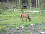 100_0202.JPG