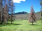 100_0211.JPG