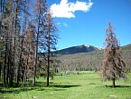 100_0212.JPG