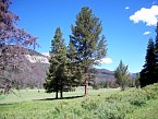 100_0213.JPG