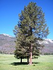 100_0214.JPG