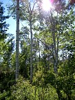 100_0244.JPG