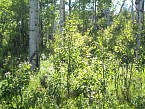 100_0246.JPG