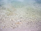 100_0368.JPG