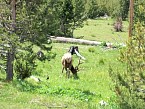100_0374.JPG
