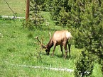 100_0375.JPG