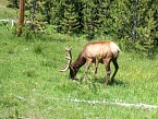 100_0376.JPG