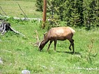100_0377.JPG