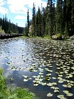 100_0380.JPG