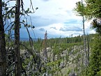 100_0384.JPG