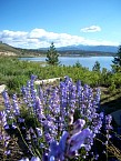 100_0504.JPG