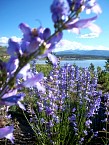 100_0505.JPG