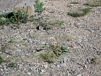 100_0511.JPG