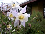 100_0519.JPG