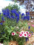 100_0522.JPG