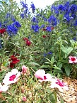 100_0523.JPG