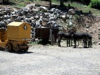 100_0535.JPG