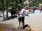 100_0538.JPG