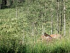100_0539.JPG