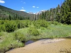 DSC00521.JPG