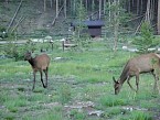 DSC00564.JPG
