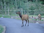 DSC00568.JPG