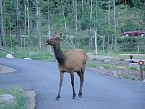DSC00570.JPG