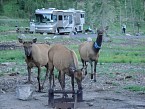 DSC00573.JPG