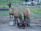 DSC00574.JPG